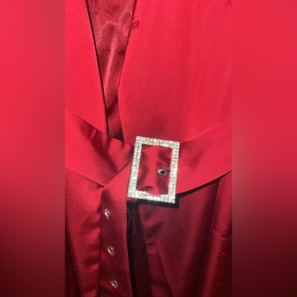 BNWT Meshki Blazer Dress w/Belt - Picture 5 of 10